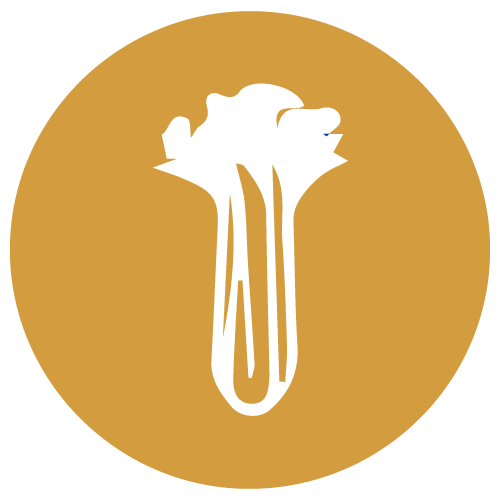 Apio