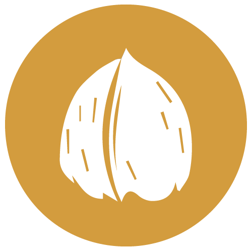 Frutos de cáscara