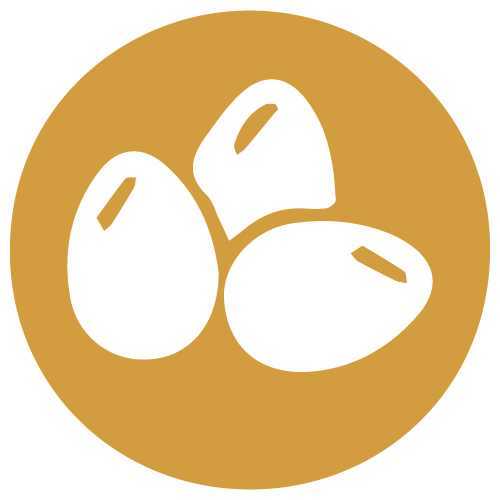 huevos