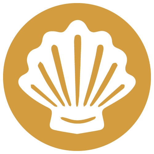 Moluscos